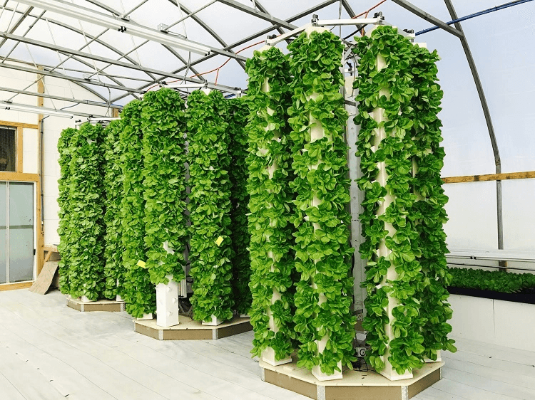 Farming & Agriculture