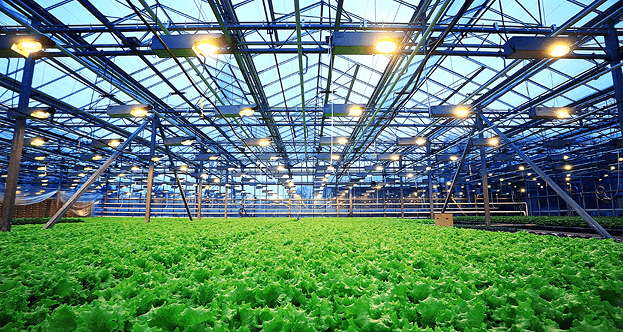 Hydroponic Controller